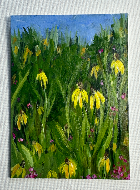Prairie Coneflowers aceo art card