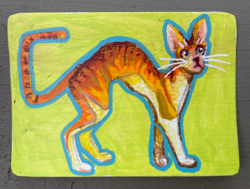 Orange cat aceo art card