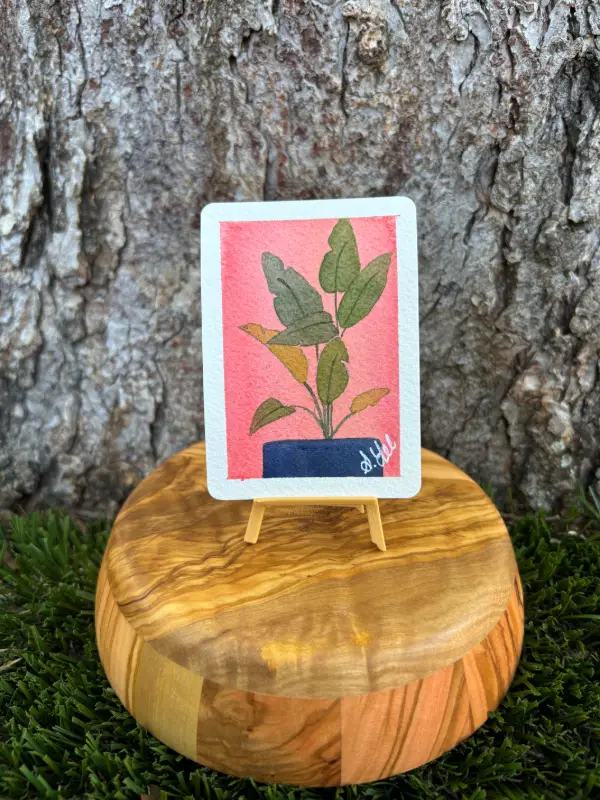 Birds of Paradise : Series III aceo art card