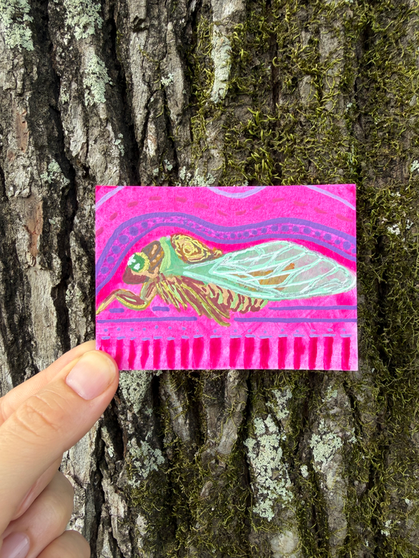 Cicada, Summer in Louisiana, New Beginnings aceo art card