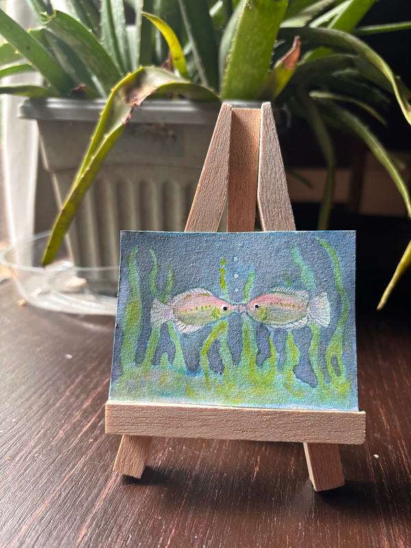 Kissing gourami aceo art card