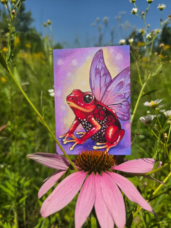 Crimson Faerie Frog - Original ACEO aceo art card