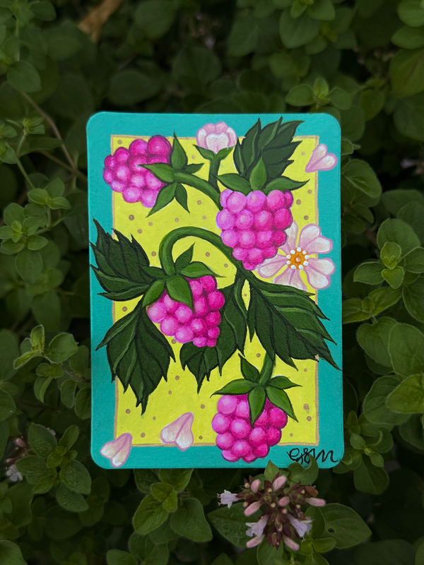 Radiant Raspberries 2/3 aceo art card