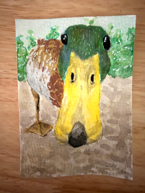Duck boop aceo art card
