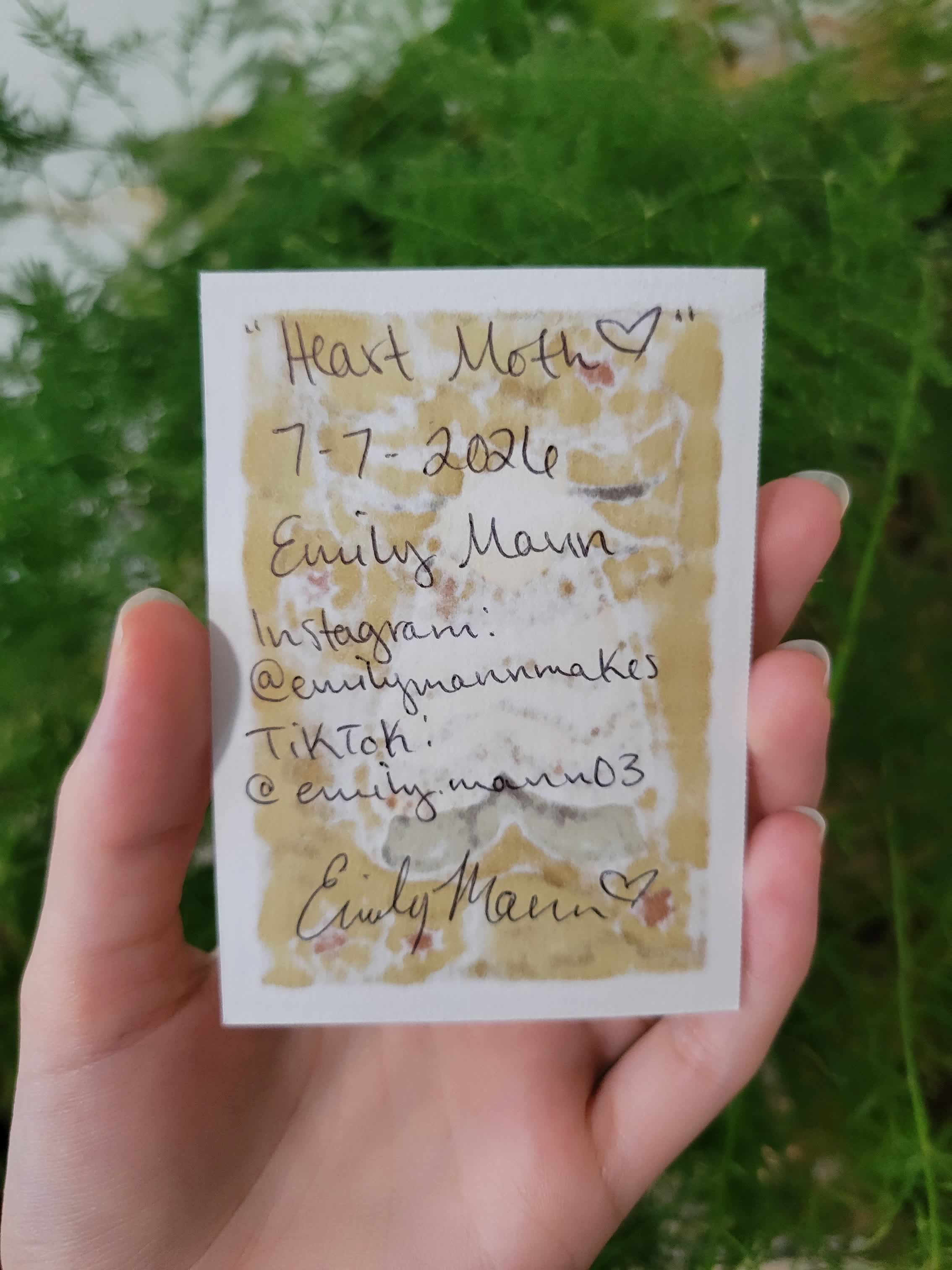 Heart Moth 𖹭 aceo art card thumbnail 2