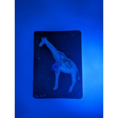 Camelopardalis aceo art card thumbnail 2