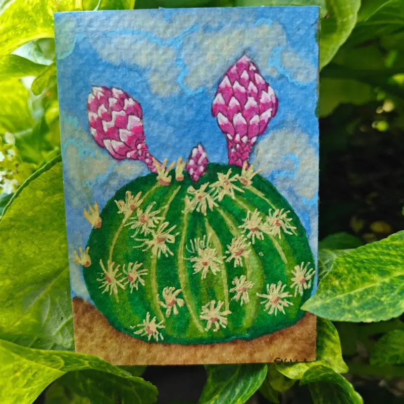 Flowering Cactus aceo art card