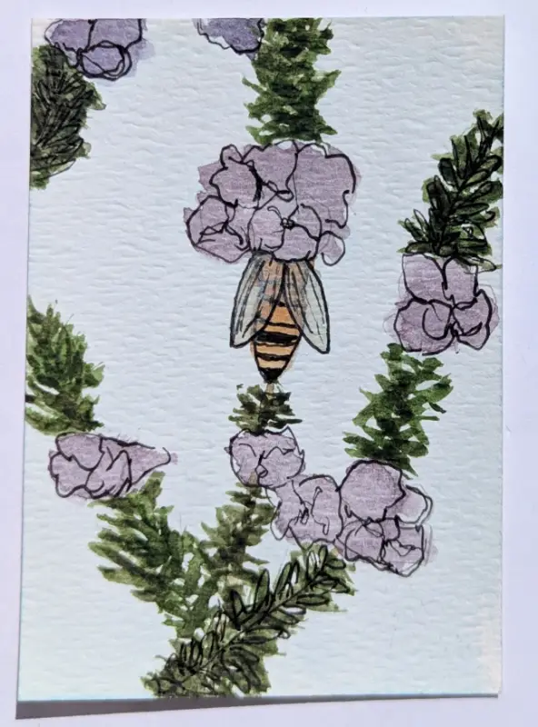 "Rosemary Flower Bee" - ACEO of floral animal herb by needle.rat aceo art card