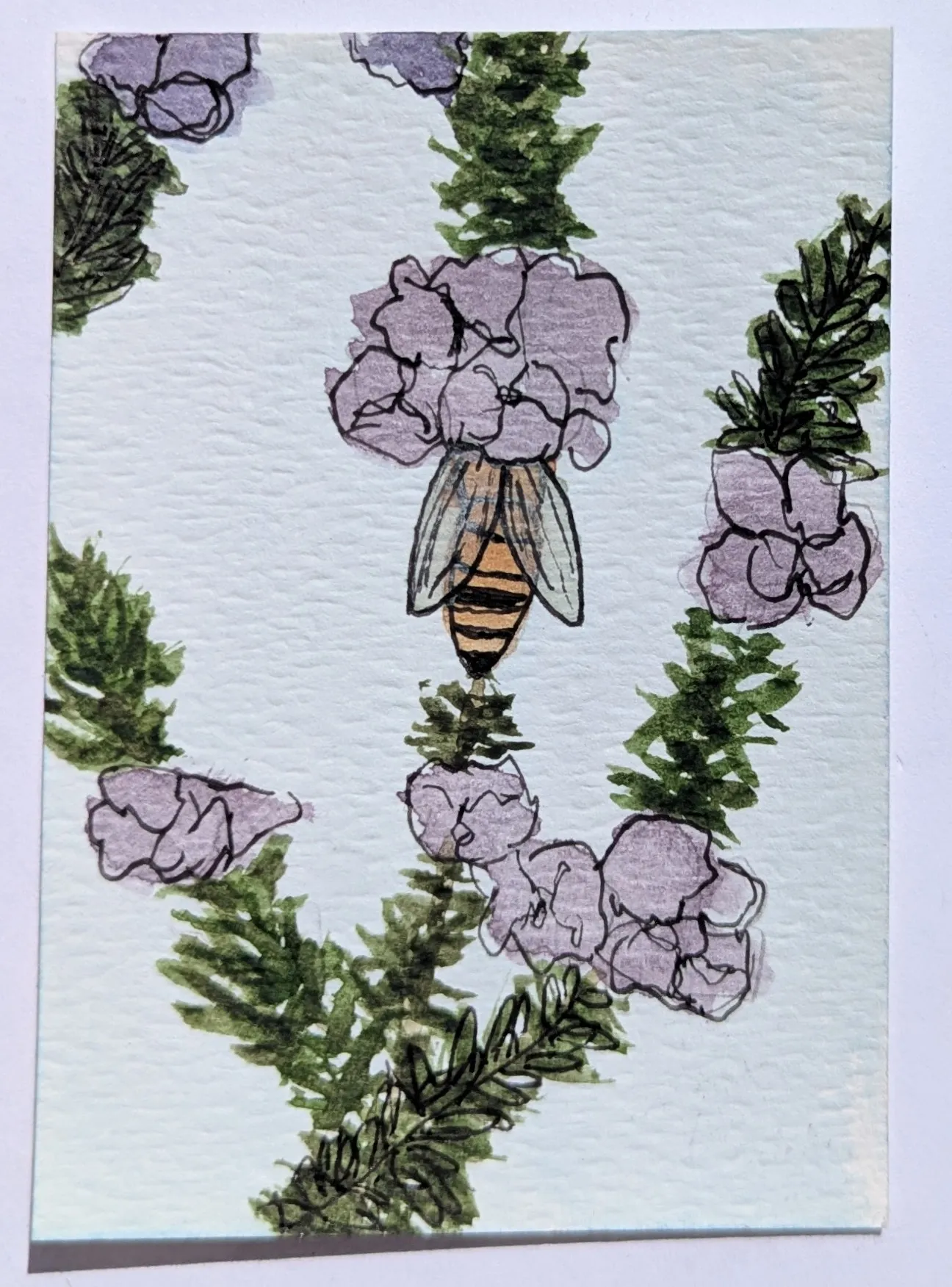 "Rosemary Flower Bee" - ACEO of floral animal herb by needle.rat aceo art card