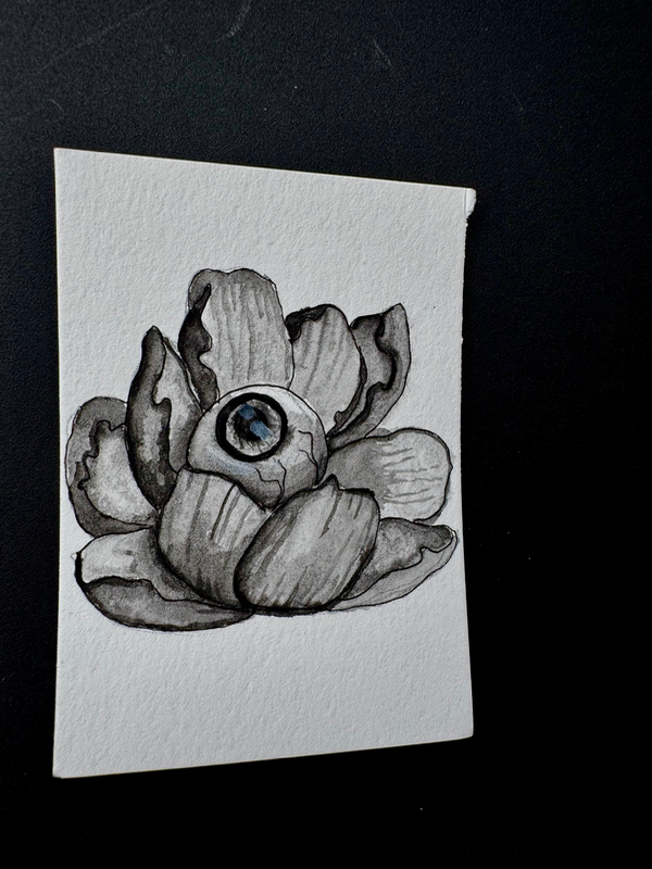 Eyeris aceo art card