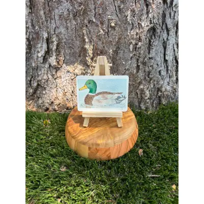 Maddox the Mallard aceo art card thumbnail 1