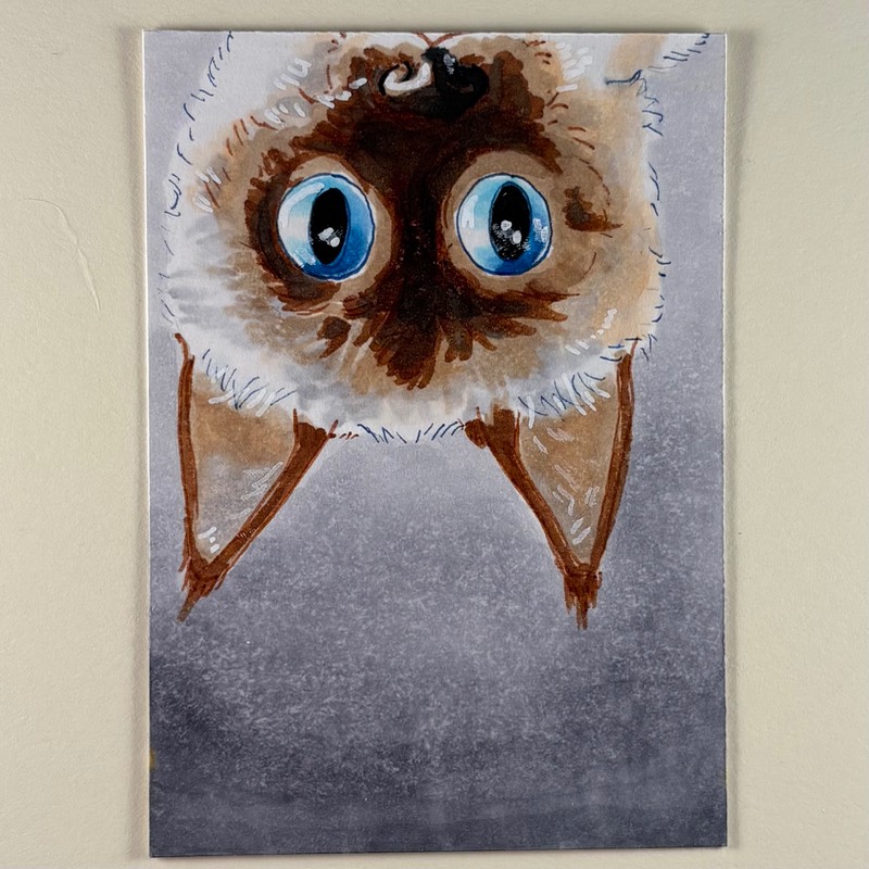 Siamese Cat aceo art card
