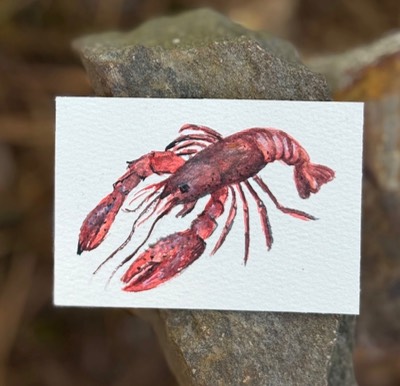 ACEO Watercolor Crawfish, seafood, Louisiana, 3.5x2.5in, watercolor, By Lark Watercolor and Art aceo art card thumbnail 1