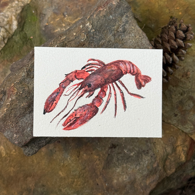 ACEO Watercolor Crawfish, seafood, Louisiana, 3.5x2.5in, watercolor, By Lark Watercolor and Art aceo art card thumbnail 4