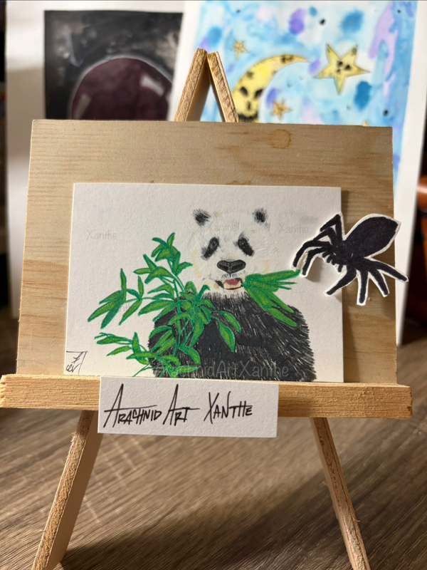 YUM 🐼|colored pencils aceo art card