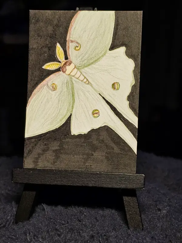 Luna Moth aceo art card