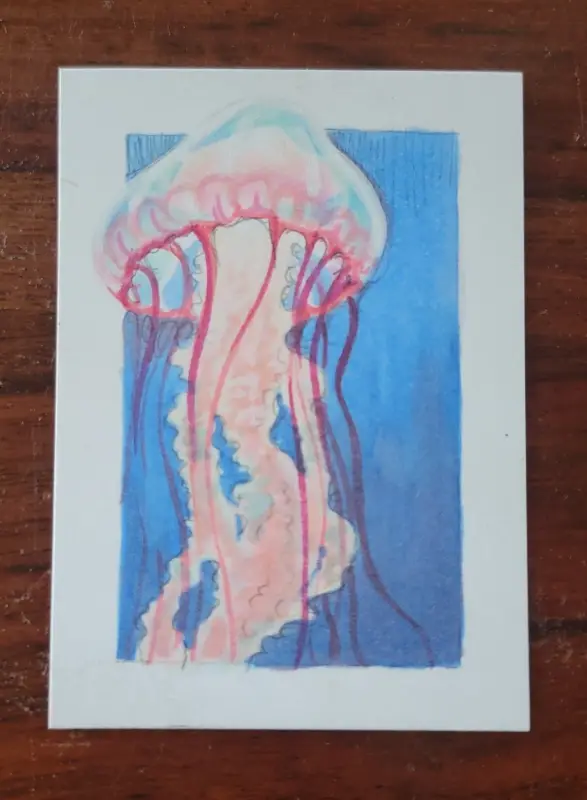ACEO Original Marker Drawing - Jellyfish, Sealife, Ocean, Oceanlife aceo art card
