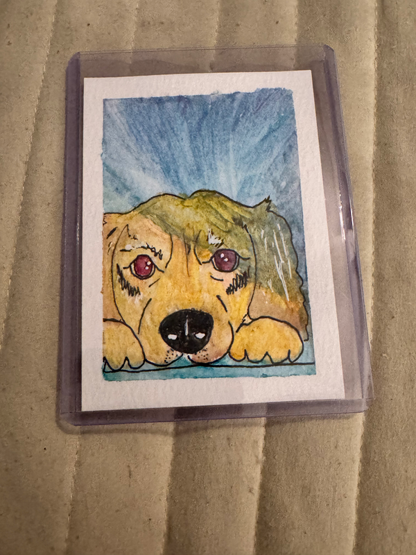 Honey Biscuit aceo art card