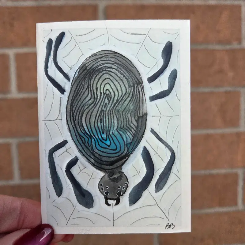 Big A** Spider aceo art card