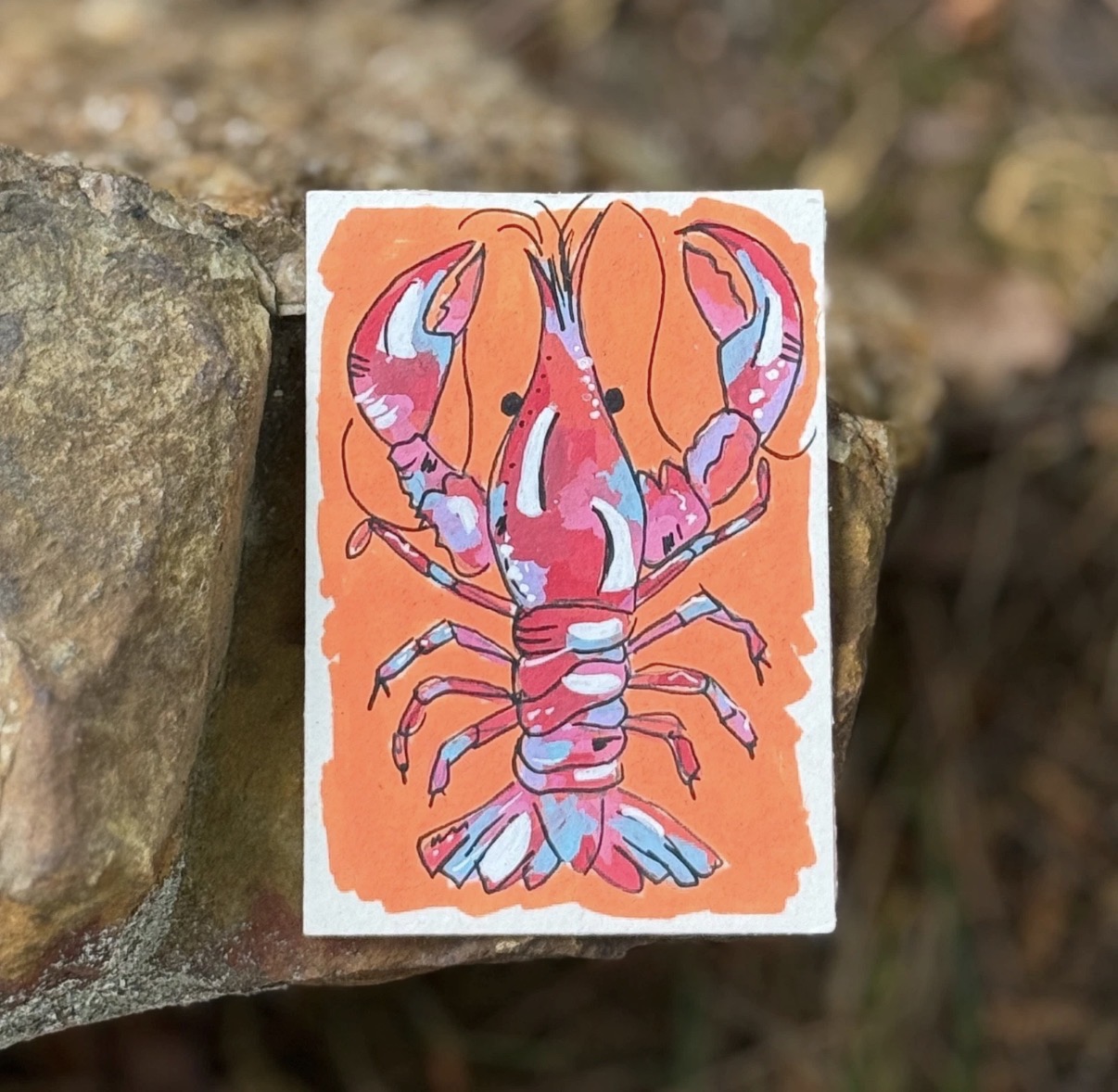 ACEO Crawfish aceo art card
