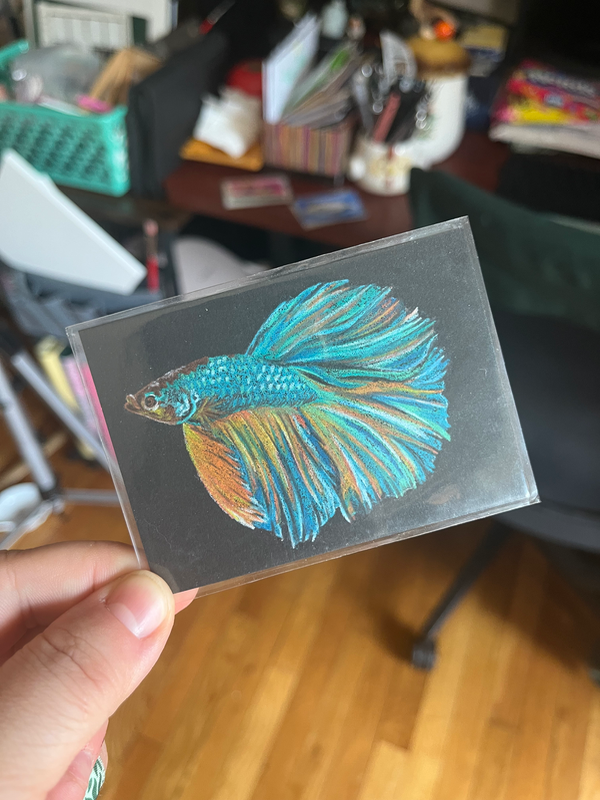 Betta Fish aceo art card