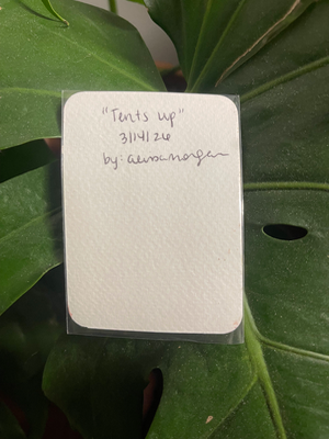 “Tents Up” aceo art card thumbnail 2