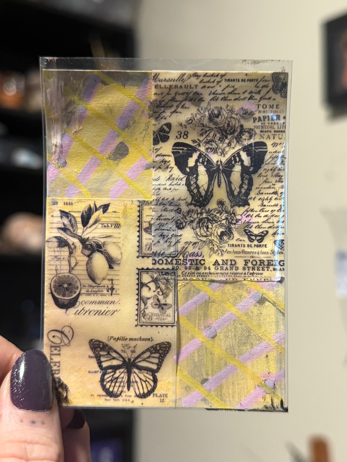 Flutterfly aceo art card