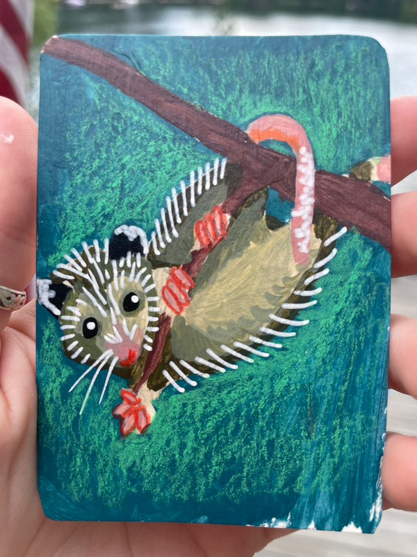 Hello Opossum! - ACEO by Norah Mae aceo art card