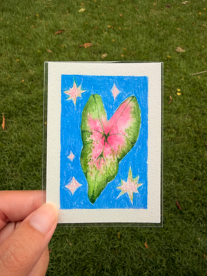 Starry Plant 02 aceo art card thumbnail 1
