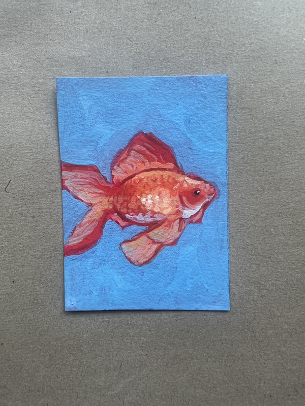 Goldfish aceo art card