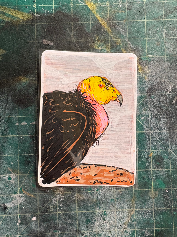 California Condor aceo art card