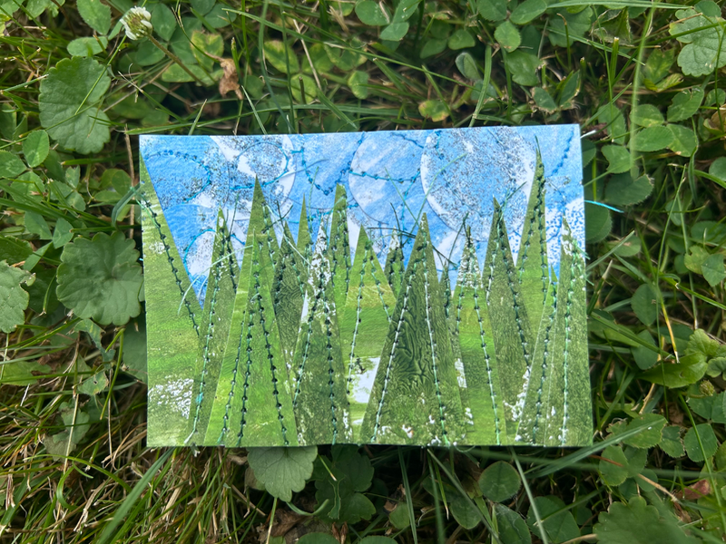 Pines and skies aceo art card