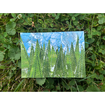 Pines and skies aceo art card thumbnail 1