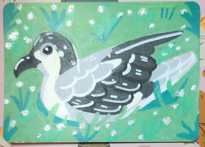 hawiaan petrel aceo art card