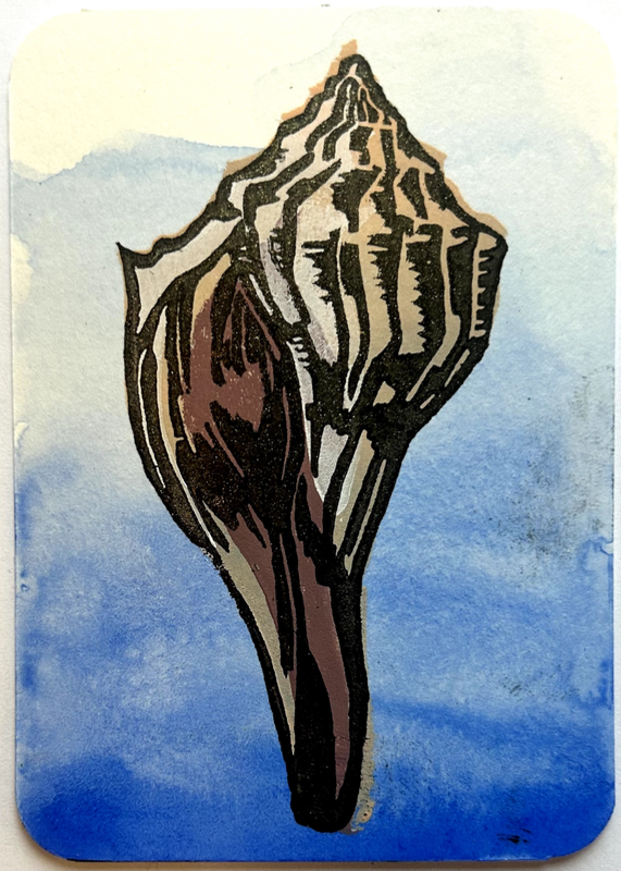 Sea Shell 4 aceo art card