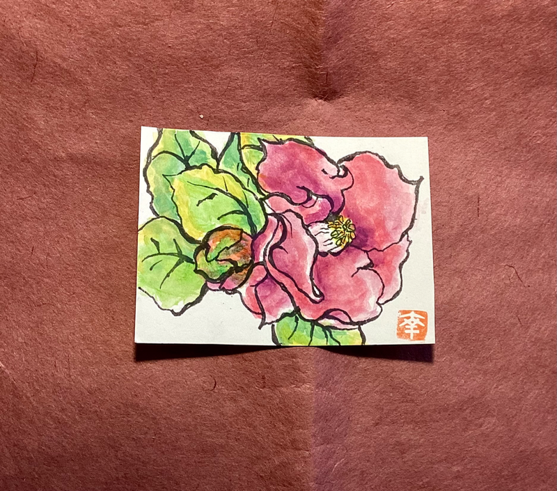 Camellia (tubaki) aceo art card