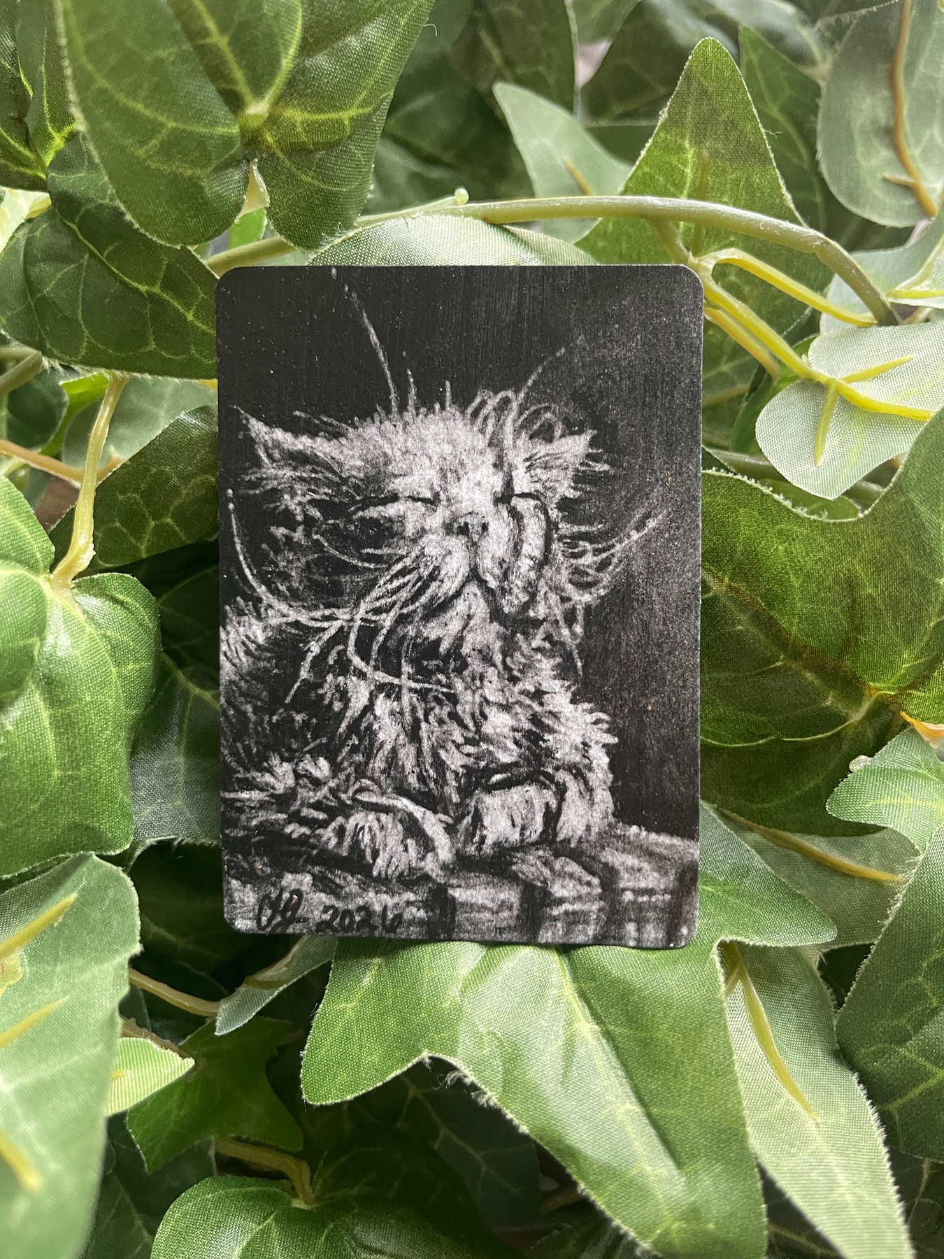 Scrunkly, 2nd Batch 6/9 aceo art card