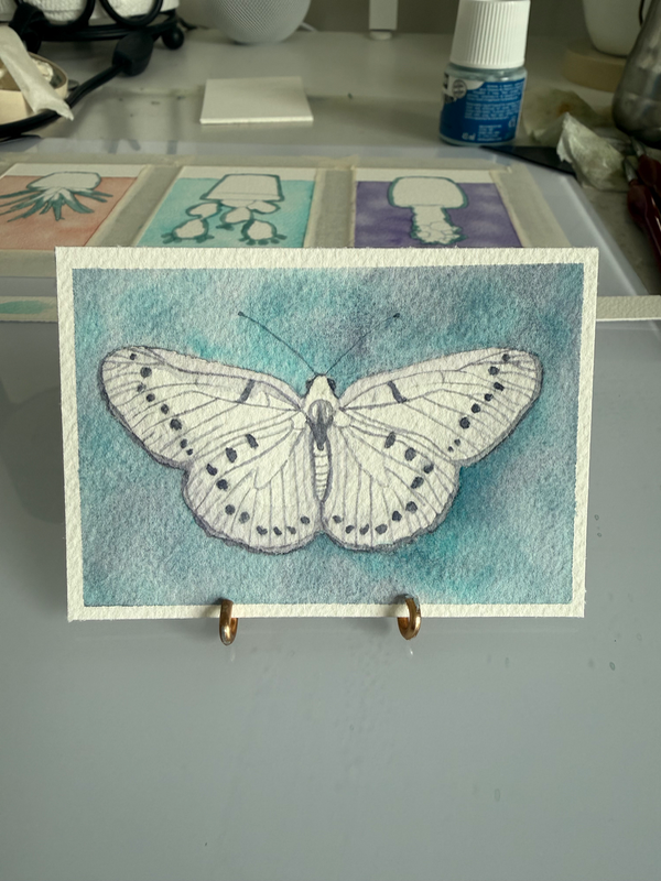 White butterfly aceo art card
