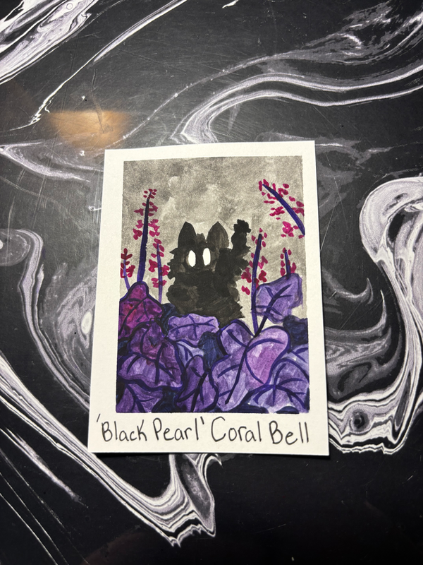 Spooky Baby: Coral Bell aceo art card
