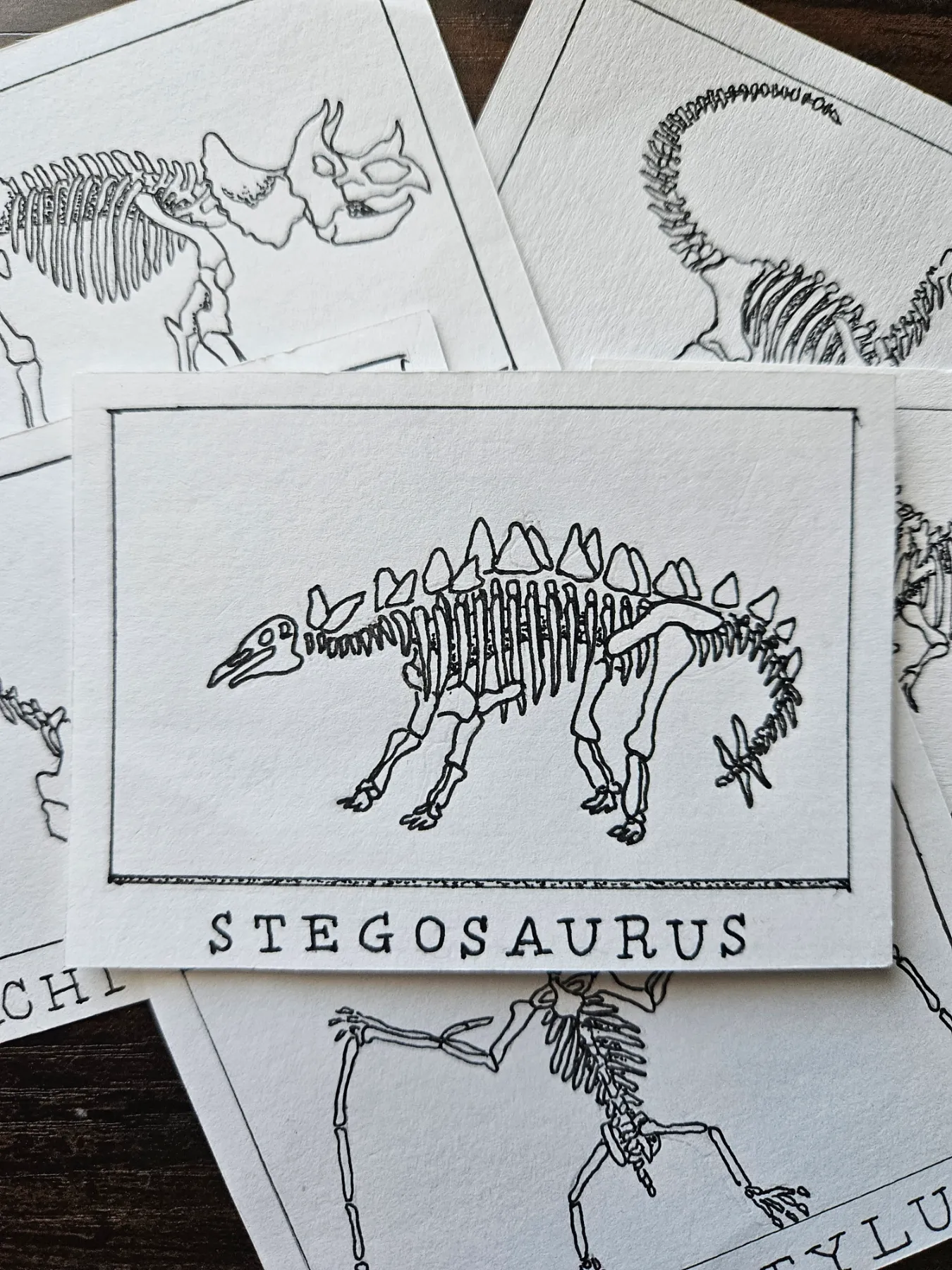 Ink Pocket Paleontology #1 aceo art card