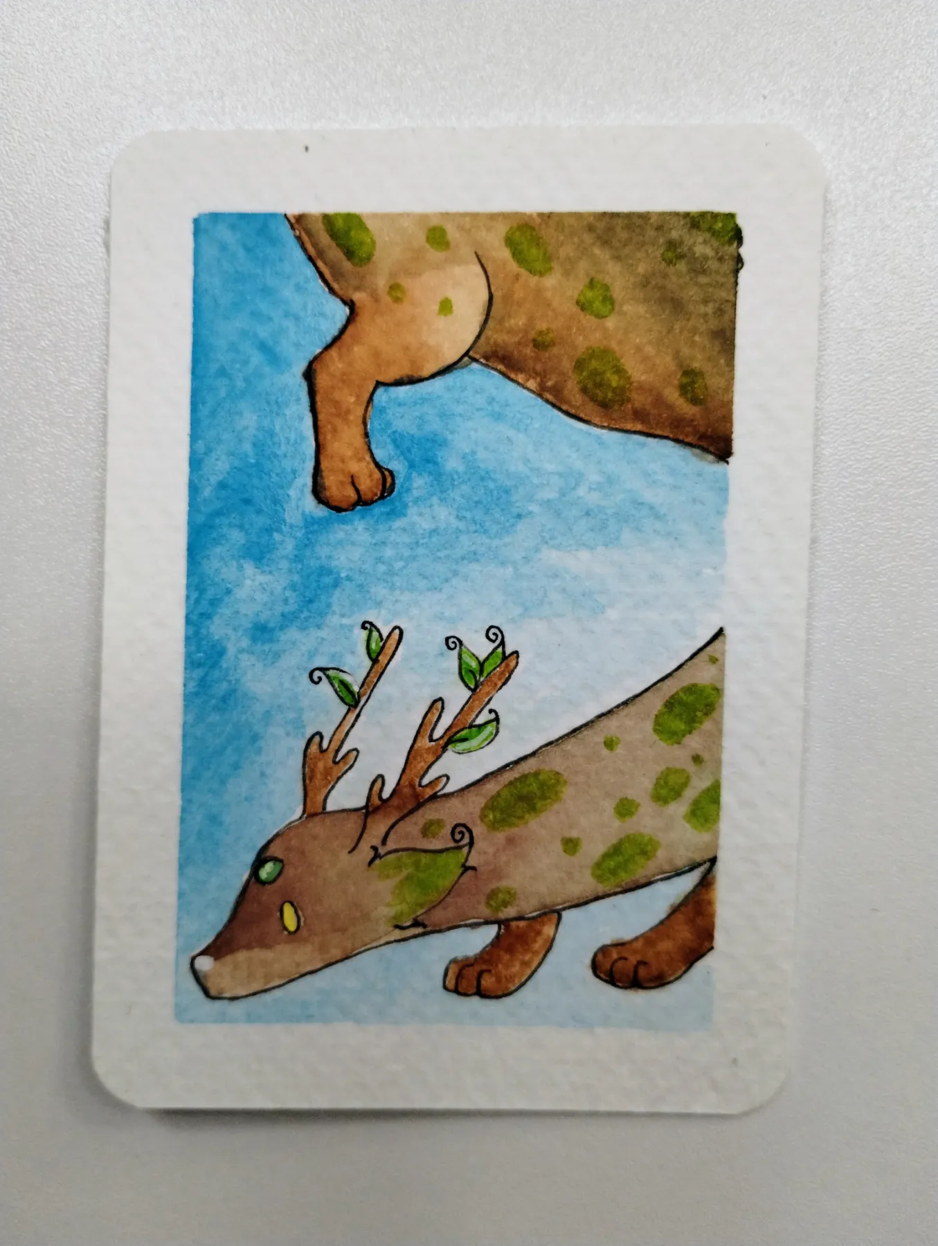 Spotted Moss aceo art card