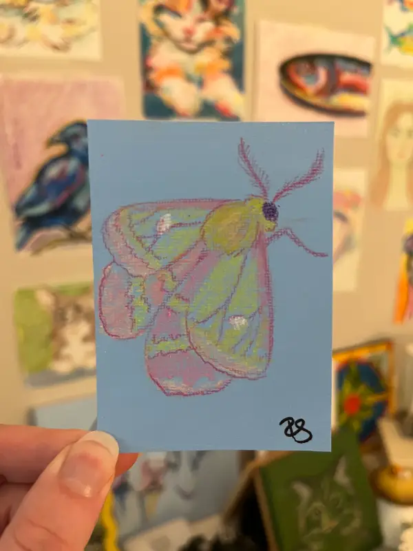 Rosy Maple Moth aceo art card