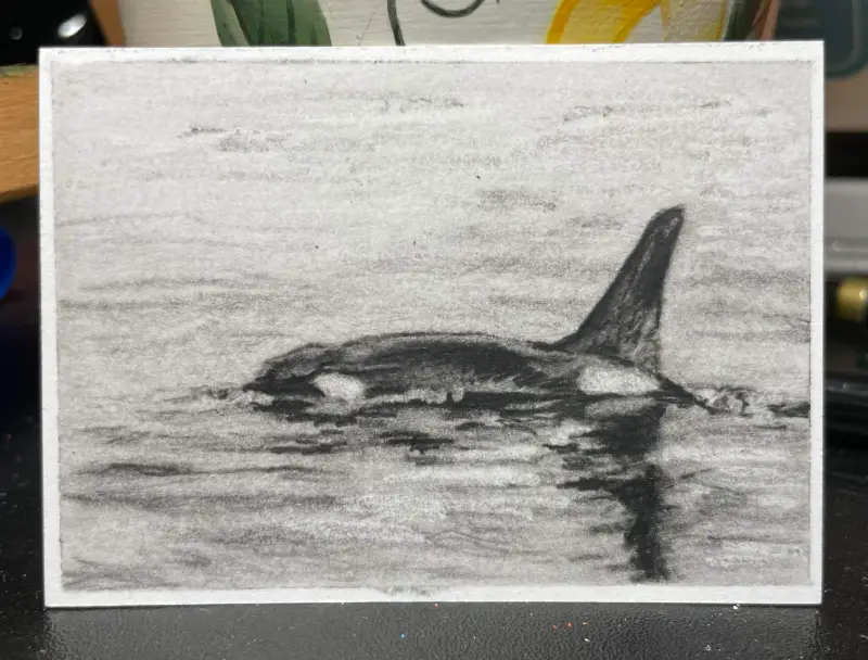 Orca aceo art card