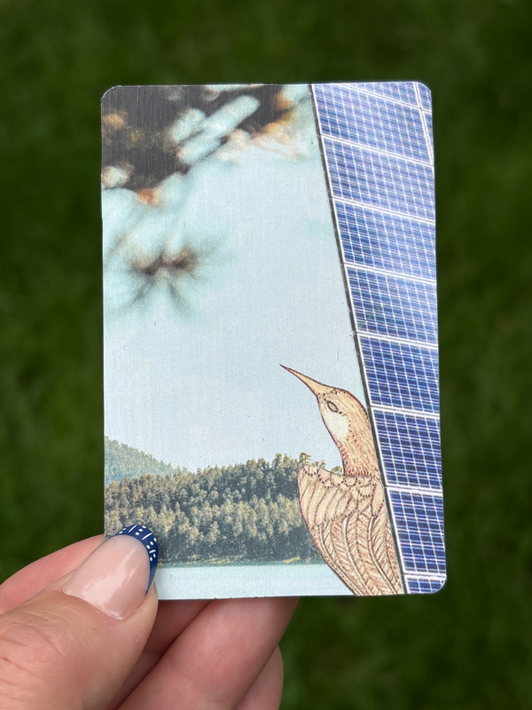 We Soar aceo art card