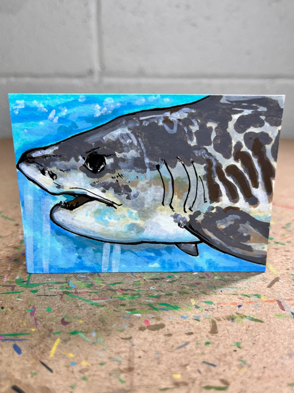 Tiger Shark aceo art card