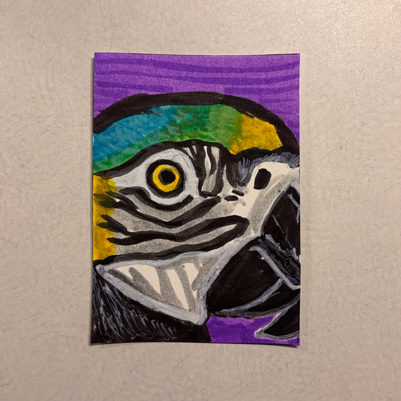 ACEO Original Acrylic Marker & Pen Bird 2.5x3.5 On Paper by KL aceo art card