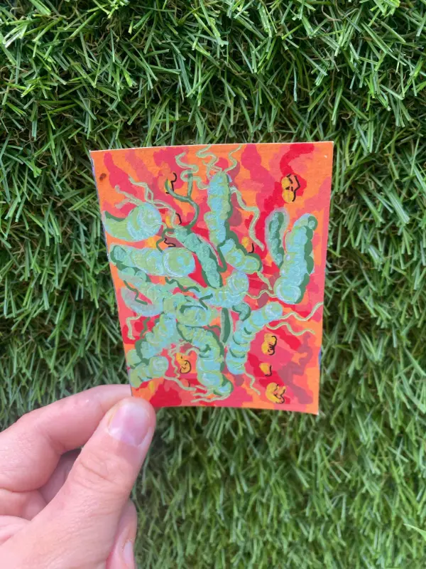 Helicobacter pylori aceo art card