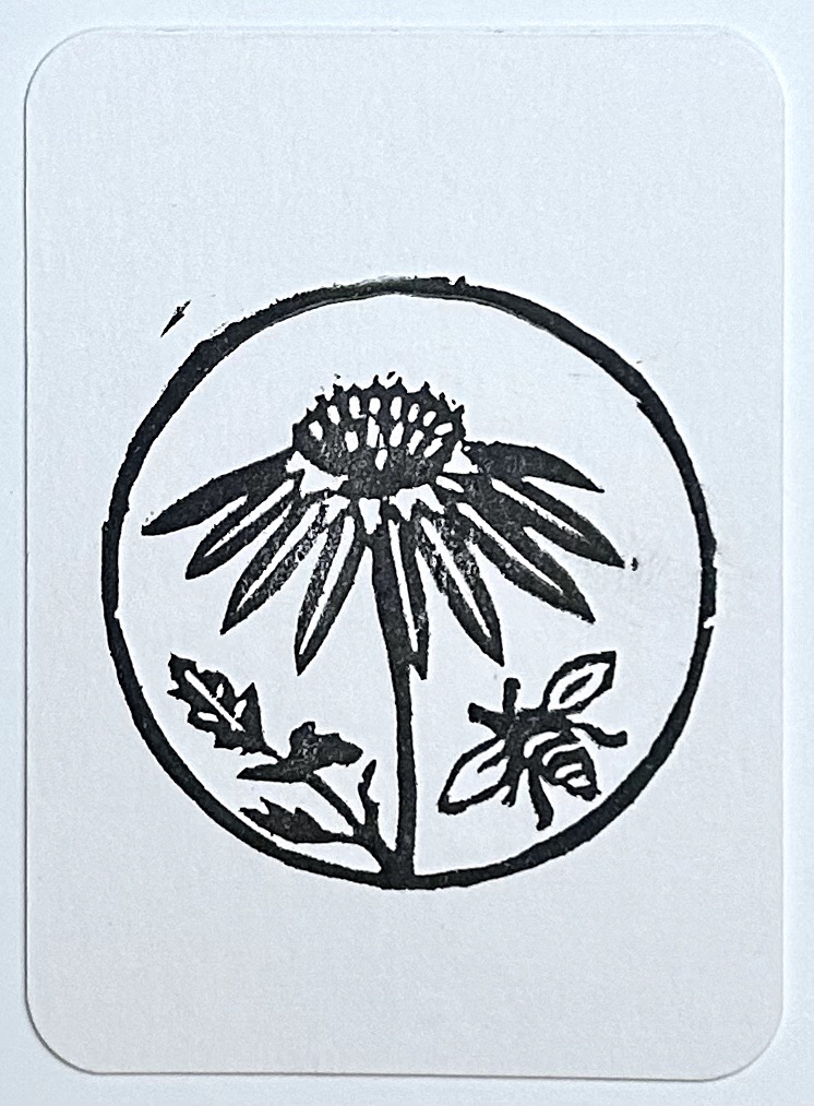 Cone Flower 5 aceo art card