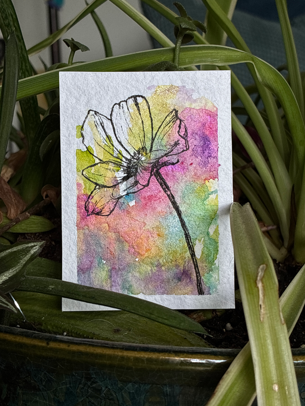 Single Cosmo Bloom aceo art card