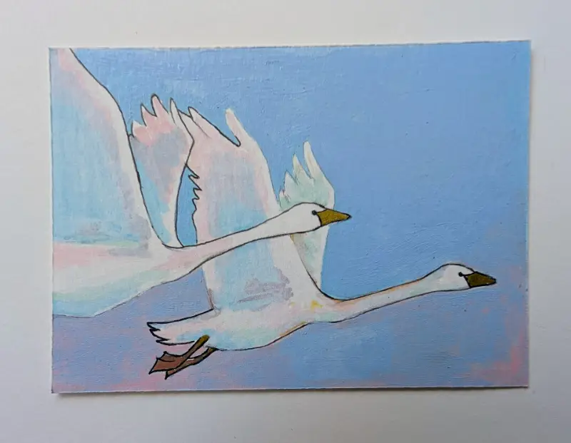 Put a Bird on it - Swan aceo art card